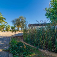 Es Turo - Bild 13