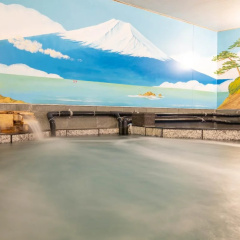 RYOKAN&HOSTEL WASABI Nippori thumbnail 13