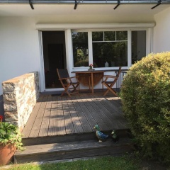 Ferienhaus Sonnenblume - Bild 6
