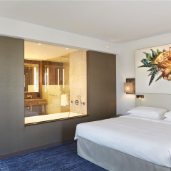 Hyatt Regency Amsterdam thumbnail 33