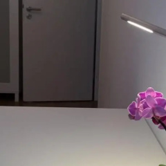 Privatwohnung Wang - Bild 5