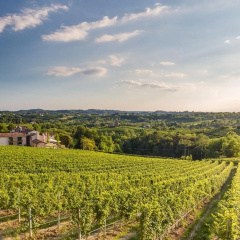 Tenuta Sant'Eufemia thumbnail 13