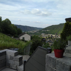 Kleines Moselchalet - Bild 9