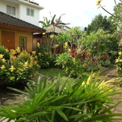 Timbis Homestay Bali - Bild 16