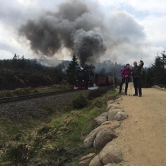 Blockhaus an der Skiwiese Braunlage - Bild 3
