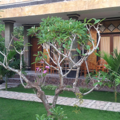 Arya Inn Enny Salon and Spa - Bild 9