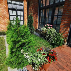Loft Niezapominajka