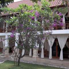 Villa Marakuya - Bild 15