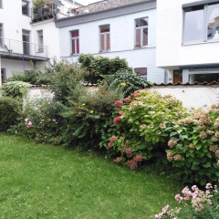 Altstadt Bonn mit eigenem Parkplatz und Garten - Bild 5