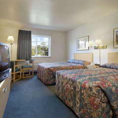 Super 8 by Wyndham Ava thumbnail 3