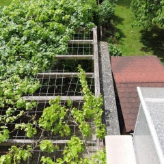 Am Homburg Ferienwohnungen - Bild 7