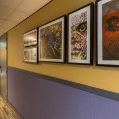 Leonardo Hotel Amsterdam Museum Quarter - Bild 17