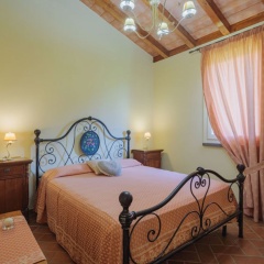 Colli (MAS330) photo 2