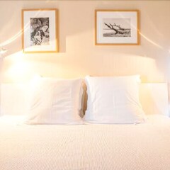 Villa Roc Flamands 11 in Gustavia, Saint Barthelemy from 4724$, photos, reviews - zenhotels.com photo 22