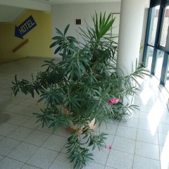 Sleep & Go Hotel Magdeburg - Bild 12