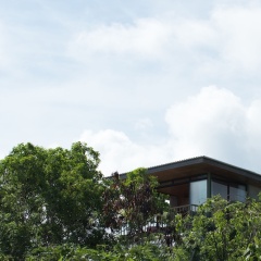 The Canopy - Bild 1
