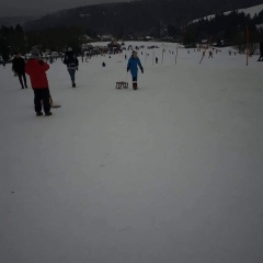 Tier FeWo Zell - Bild 10