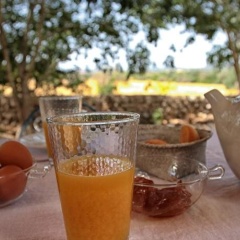 Bou Ros Finca Son Orellet - Bild 12