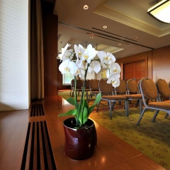 Regent Warsaw Hotel - Bild 28