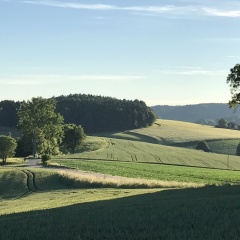 Hotel Dawin - Bild 16