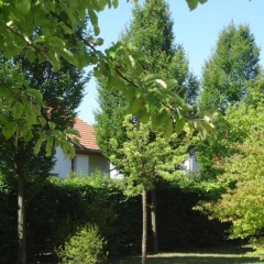 Albrechtshof (Adults Only) - Bild 2