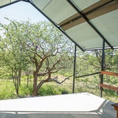 Etosha Safari Camping2Go in Okaukuejo, Namibia from 89$, photos, reviews - zenhotels.com photo 9