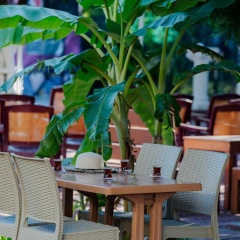 Grand Hotel Derin - All Inclusive - Bild 26