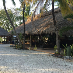 The Pelican Key Largo Cottages thumbnail 16