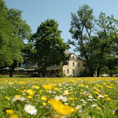 Nells Park Hotel - Bild 15