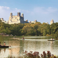 The Ritz-Carlton New York, Central Park thumbnail 28
