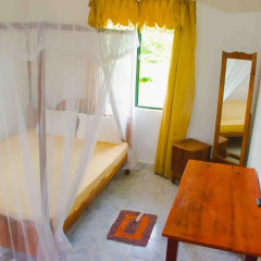 Surf Paradise & Cabana thumbnail 39