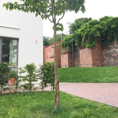 Ferienwohnung an der historischen Stadtmauer - Bild 8