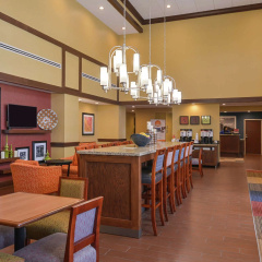 Hampton Inn & Suites by Hilton Lonoke thumbnail 27