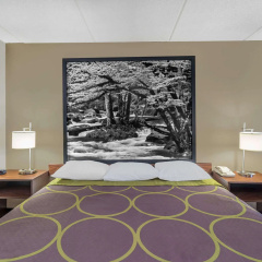 Super 8 by Wyndham Knoxville North/Powell thumbnail 4