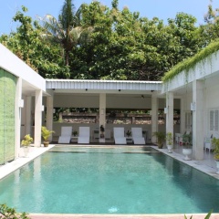 Villa Putih Lovina - Bild 10