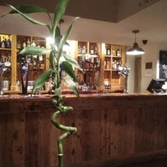 The Stag thumbnail 2