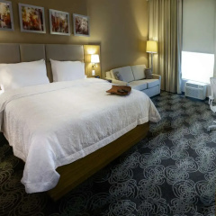 Hampton Inn by Hilton Zacatecas thumbnail 30