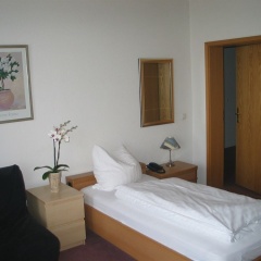 Adler - Bild 5
