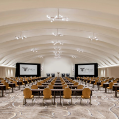 The Roosevelt New Orleans, A Waldorf Astoria Hotel thumbnail 23