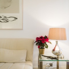 Sublime 1 bed flat with Thames view - Bild 5