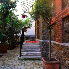 Hôtel Windsor Home - Bild 15