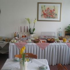 Adler - Bild 10