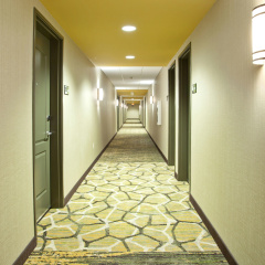 Hampton Inn & Suites Minneapolis / Downtown thumbnail 21