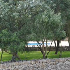 Hotel Rural Es Riquers - Bild 16