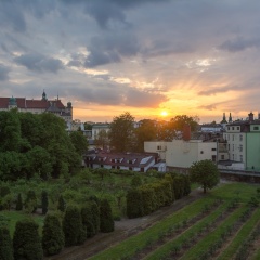Queen Boutique Hotel - Bild 22