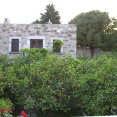 Ha La Bodrum - Bild 11