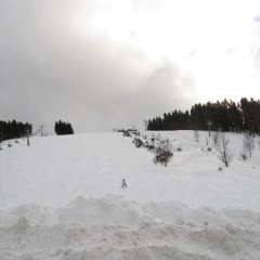 Hoffmanns Hotel Waldfrieden Garni - Bild 16