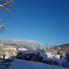 Hotel Zur Schanze - Bild 5