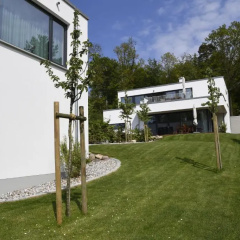 Haus Windsbraut - FeWo 01 thumbnail 6