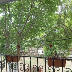 Denize 10 dk, ağaçlar içerisinde muhteşem villa - Bild 1